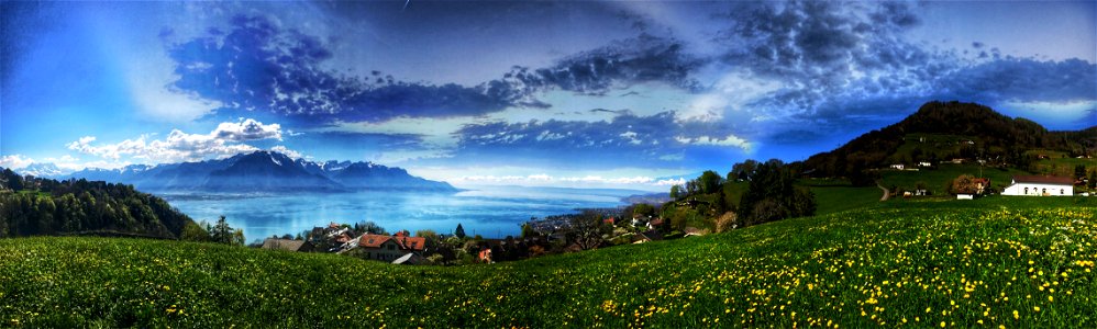 Green Grass With Mountain