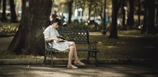 Woman Sitting On Metal Bench On Park While Reading Book photo