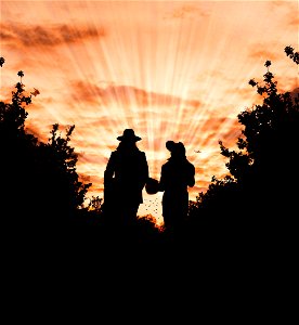 Silhouette Photo Of Man And Woman Wearing Hat Standing Between Trees During Golden Hour photo