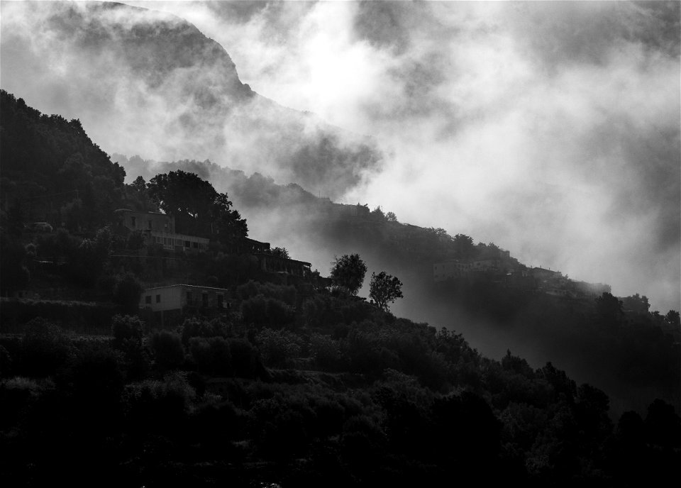 Landscape Grayscale Photography Of Concrete Houses Surrounded With Trees