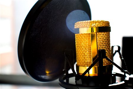 Close Up Photo Of Gold-colored And Black Condenser Microphone photo