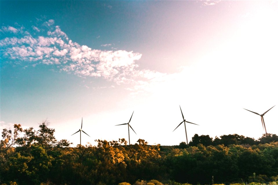 Windmill Near Green Trees