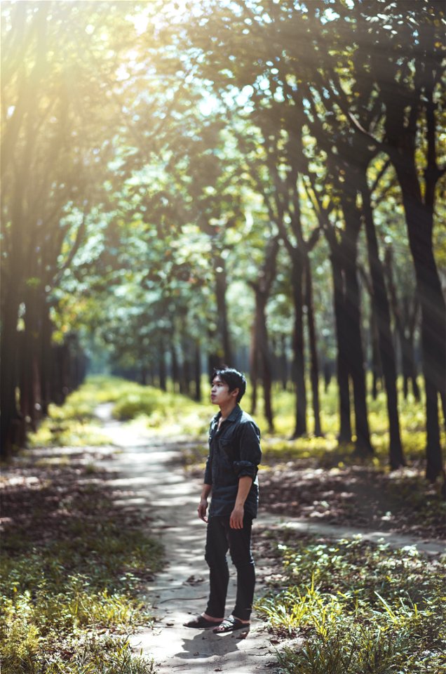 Man Looking At The Trees