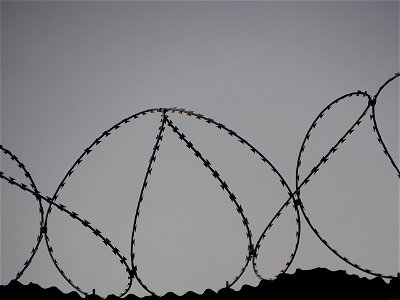 Barbed Wires photo
