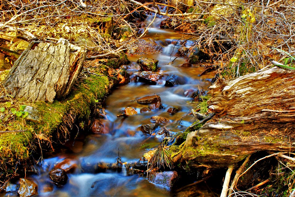 Water Stream On Creeks