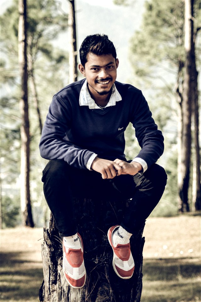 Person Sitting On Tree Trunk