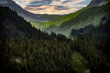 Photography Of Mountain Covered With Green Trees photo