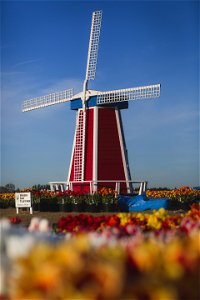Red White And Blue Windmill photo