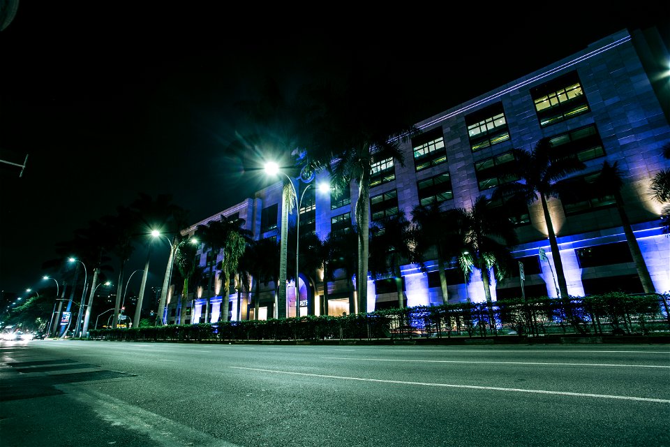 Green Palm Trees On Side Walk Near Gray Building At Nighttime photo