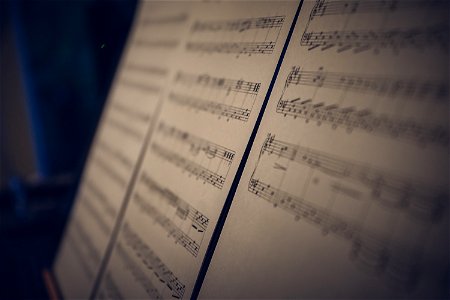 Musical Notes photo