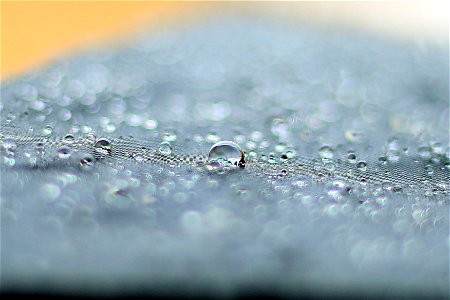 Macro Photography Of Water Droplets photo