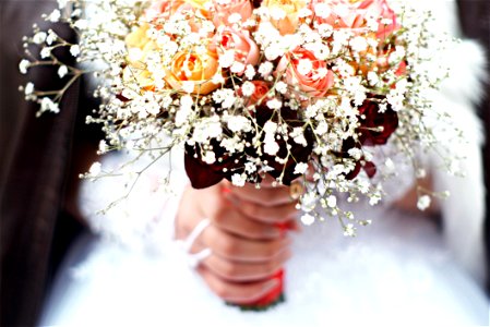 Person Holding Bouquet Of Flower