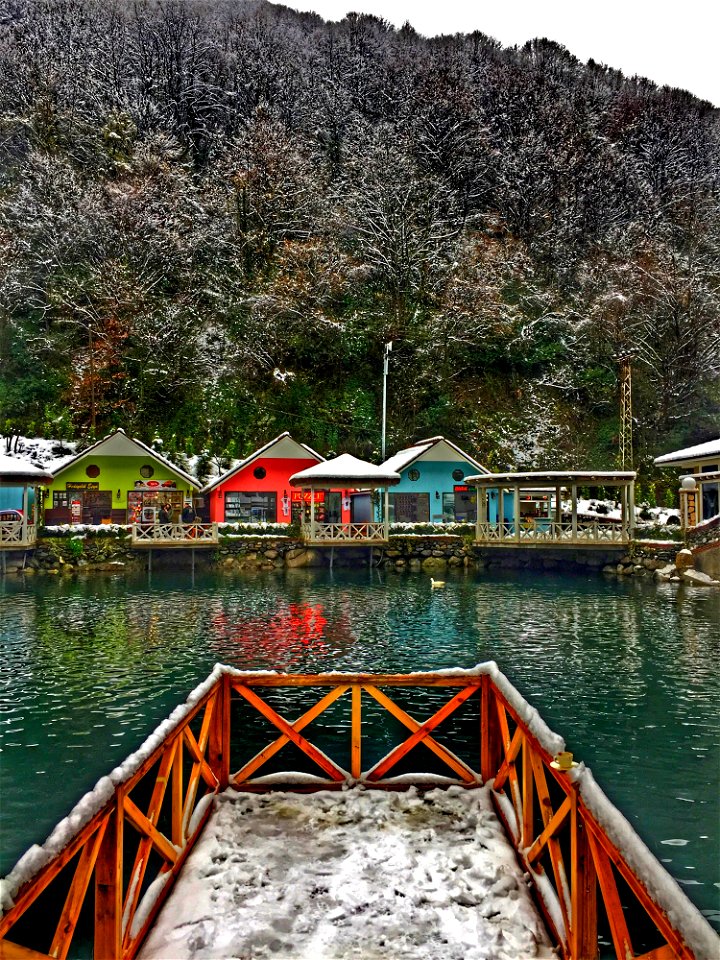 Photo Of Cottages Beside Sea Surrounded By Plants