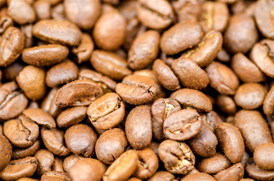 Coffee Beans photo