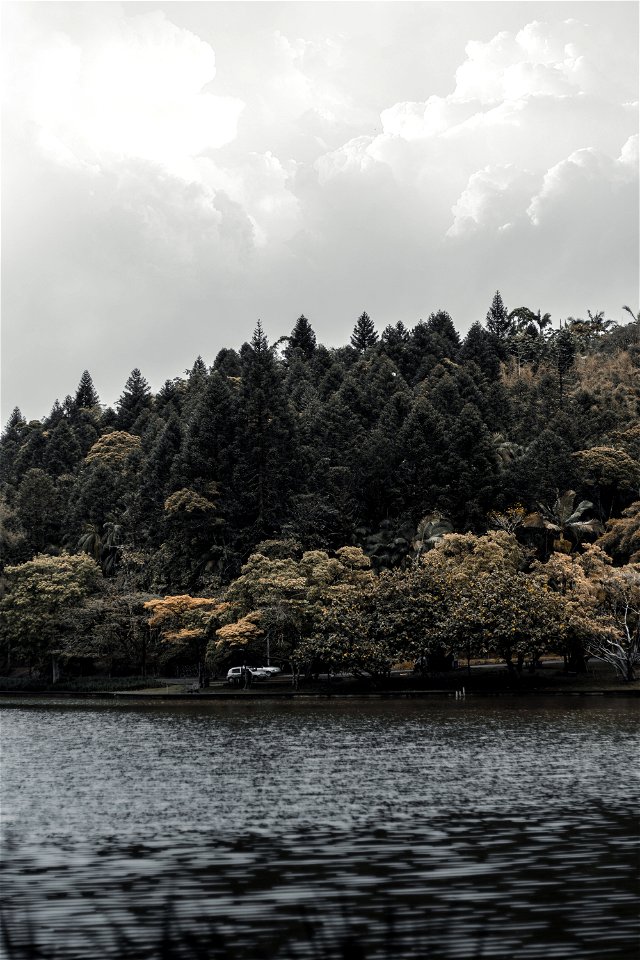Body Of Water