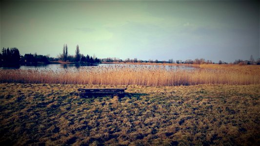 Brown Grass Field By The Lake photo