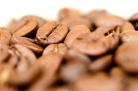 Closeup Photography Of Coffee Beans photo