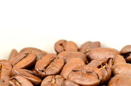 Brown Coffee Beans photo