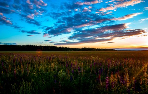 Green Meadows Near Mountain Under Calm Sky