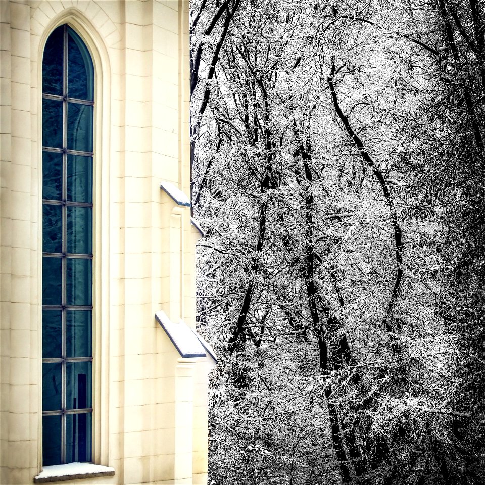 White Concrete House Near Tree photo