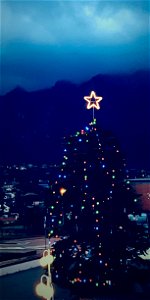 Christmas Tree During Nightime photo