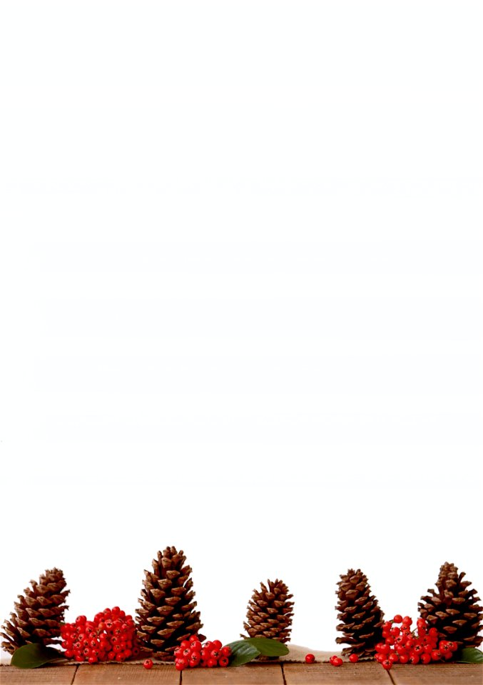 Brown Pine Cone Decors photo