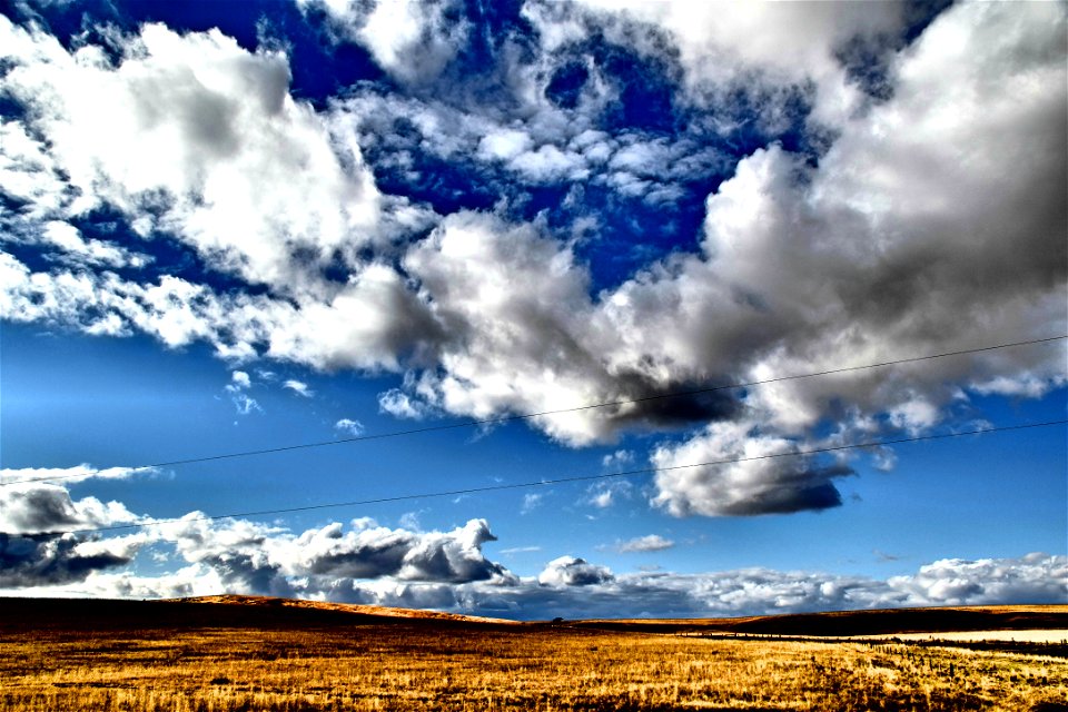 Cloudy Day