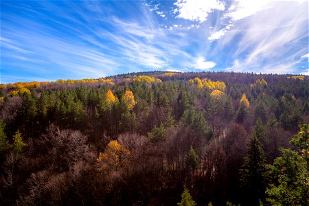 Aerial Shot Of Trees During Fall Season Under Blue Sky photo