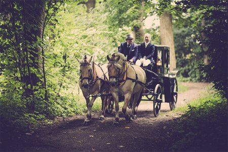Two Man On A Carriage With Horse photo