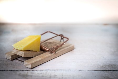 Brown Wooden Mouse Trap With Cheese Bait On Top photo