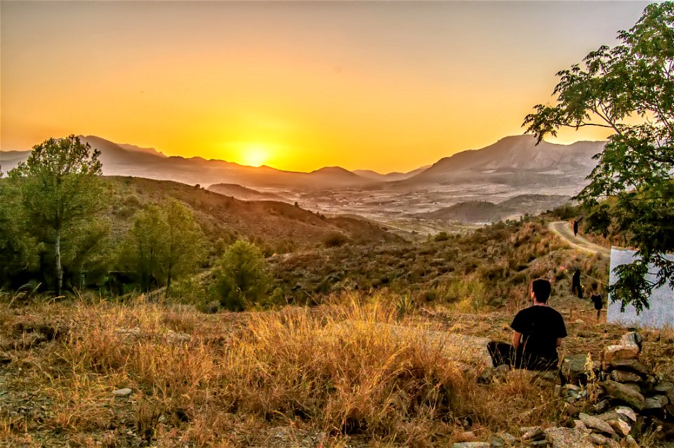 Man Sitting In Stone Near Green Tree photo