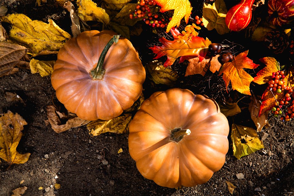 Abundance Autumn Fall Farm