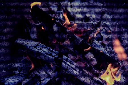 Logs In Bonfire