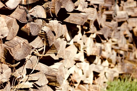 Photo Of Piled Firewood photo