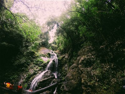 Photography Of Waterfalls Near Trees photo