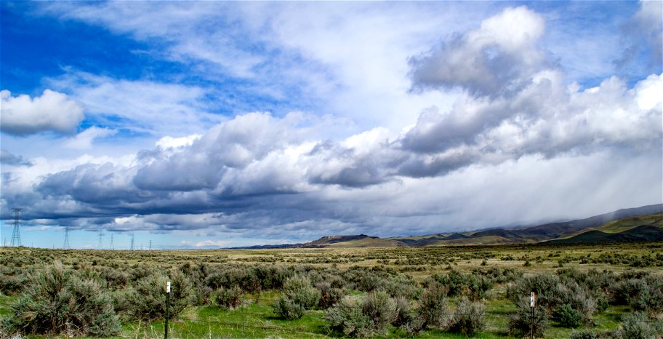 Green Trees And Grass Field Scenery photo