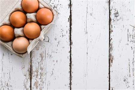 Egg Product Design Flooring photo