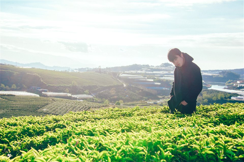 Photo Of Man Near Plants photo