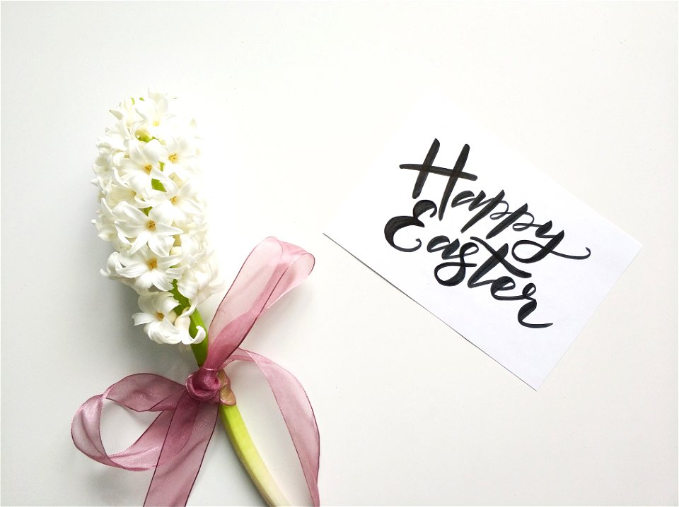 White Flowers