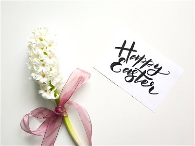 White Flowers