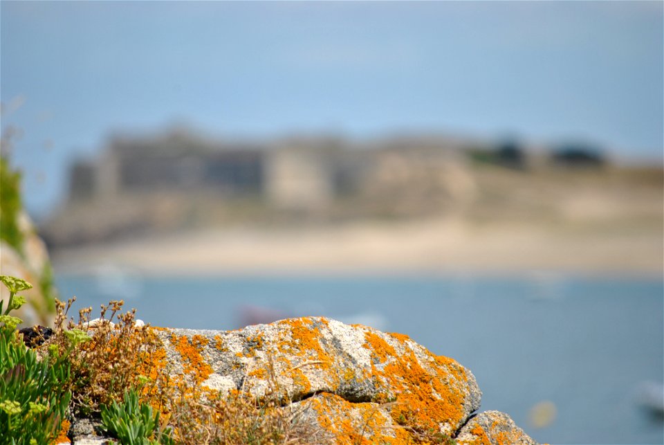 Sea Sky Shore Rock photo