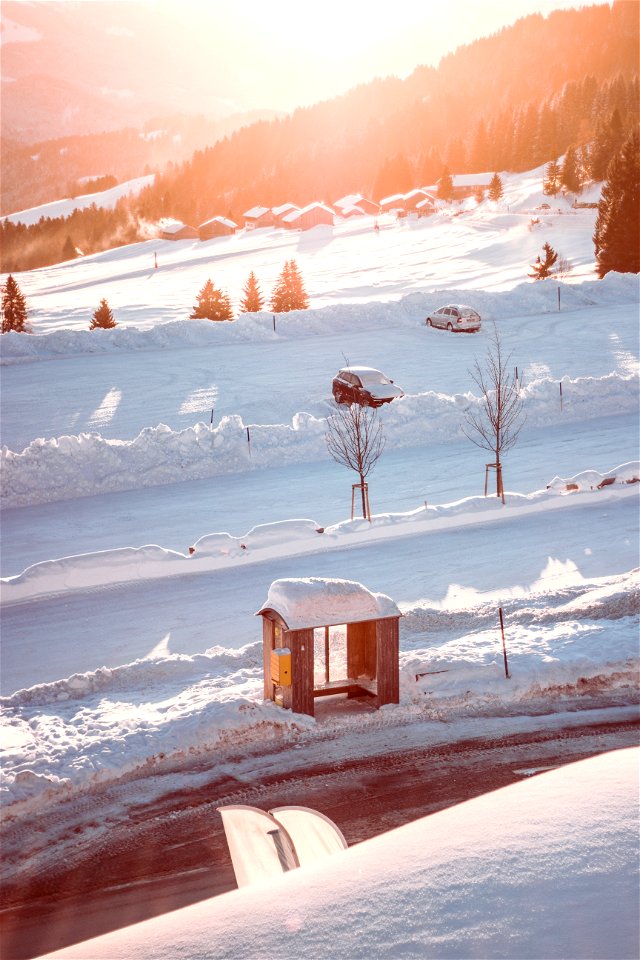 Brown Wooden Waiting Shed photo