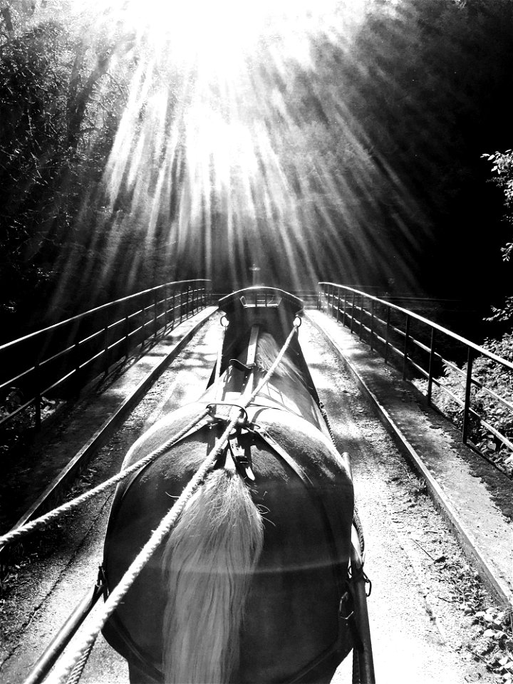 Black Black And White Monochrome Photography Water
