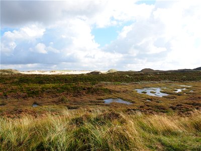 Grassland Ecosystem Highland Wetland photo