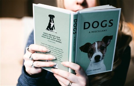 Woman Holding Dogs A Miscellany Book photo
