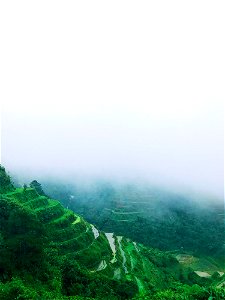 Green Rice Terraces With Foggy Weather photo