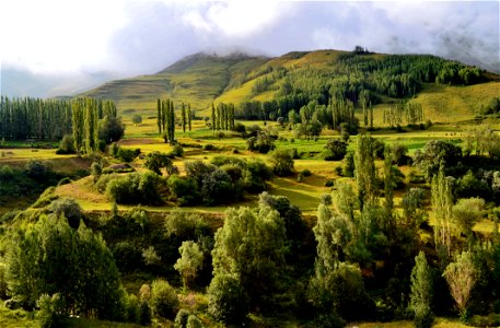 Vegetation Ecosystem Nature Reserve Highland