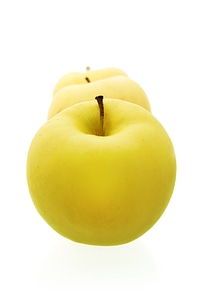 Yellow apples photo