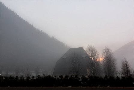 Silhouette Of Bare Trees During Sunrise