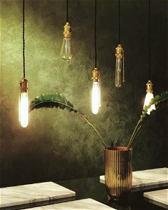 Green Leaves In Glass Vase Under Clear Bulb Pendant Lamps photo